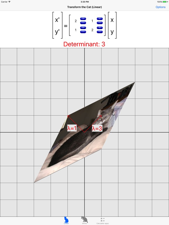 Transform the Cat poster