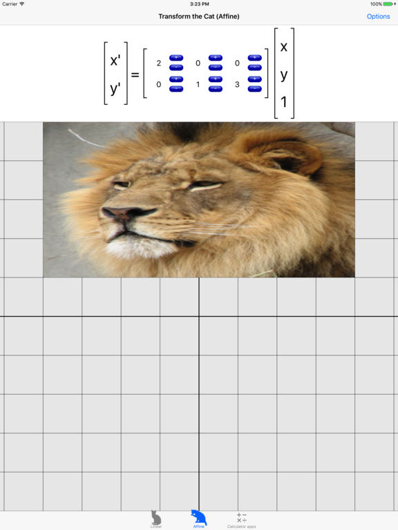 Transform the Cat poster