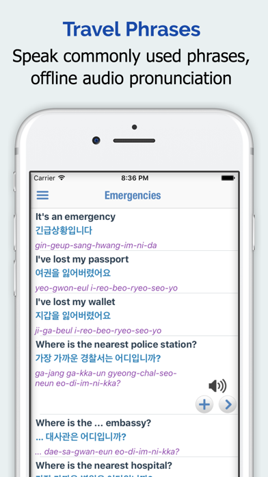 Korean Dictionary + poster