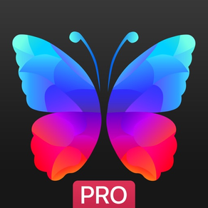 Everpix Pro Hintergrundbilder