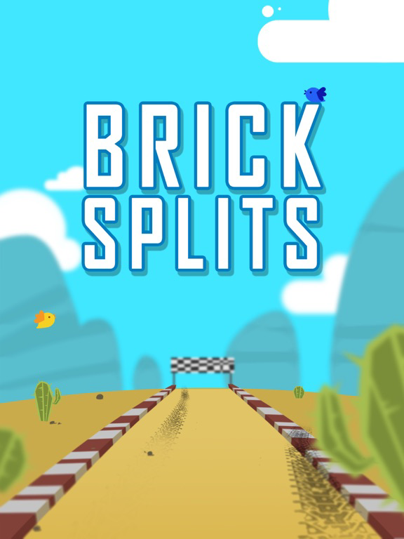 Brick Splits poster