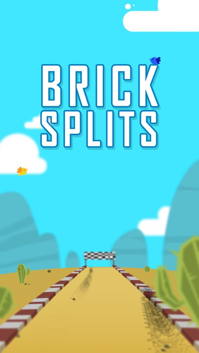 Brick Splits poster