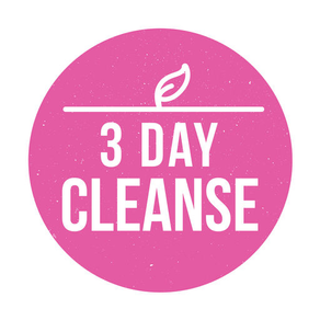 3 Day Cleanse - High Raw Food Meal Plan