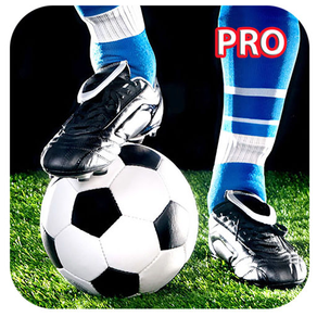 Soccer Stars Pro Football Game