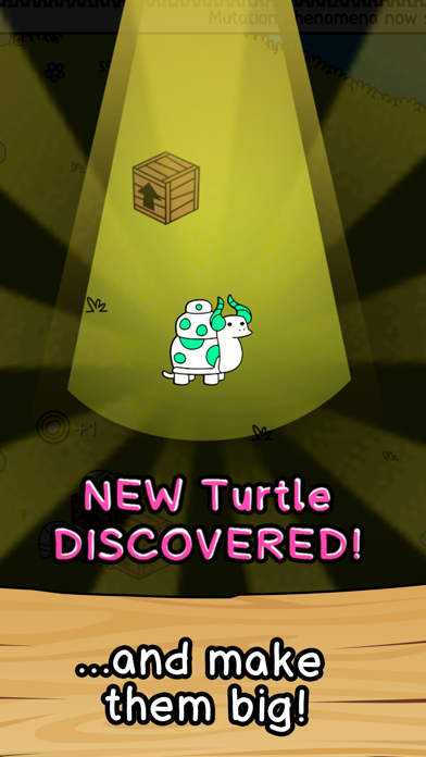 Turtle Evolution poster