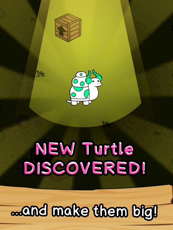 Turtle Evolution poster