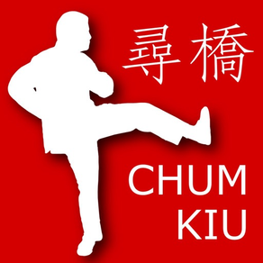 Wing Chun Chum Kiu Form