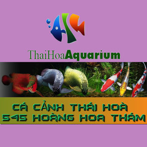 Cá Cảnh Thái Hoà