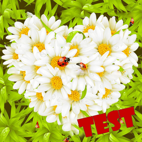 Test of Love flower