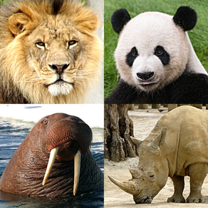 動物クイズゲーム : 動物園全体の日本と世界の動物