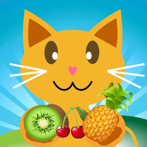 QCAT - Fruit 7 in 1 Spielen