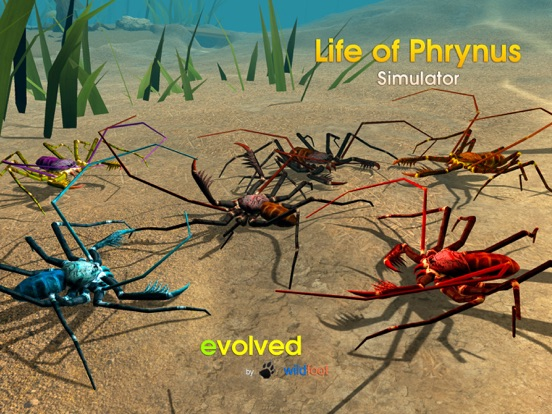 Life of Phrynus - Whip Spider poster