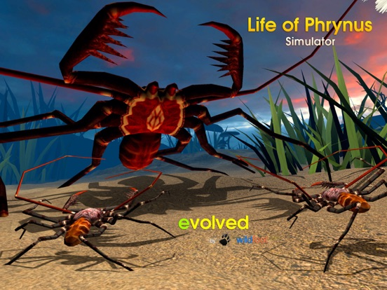 Life of Phrynus - Whip Spider poster