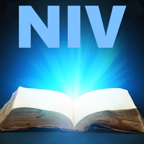 NIV Bible* - New International