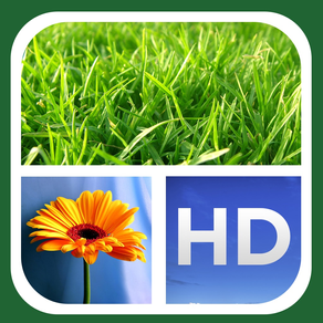 Picture Frames FREE - #1 Photo Collage Maker