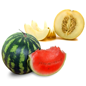 Watermelon/Melon