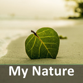My nature sounds & relax music