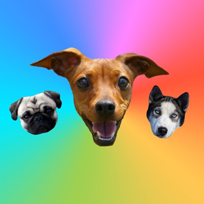 Dog Stickers - Cães