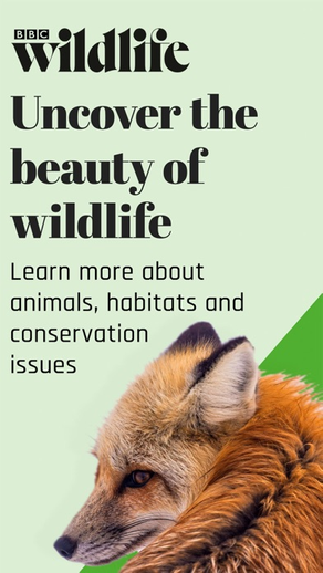 BBC Wildlife Magazine