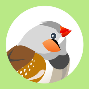 Finch for Twitter - Discover and curate photos