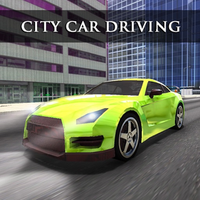 Real City Car Driving Sim