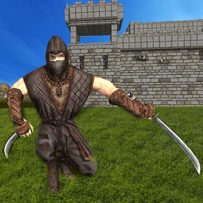 Ninja Krieger Attentäter Mission 3D