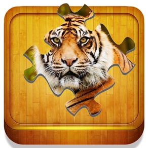 Collection of Magic Jigsaw Puzzles - Game for Kids & adults