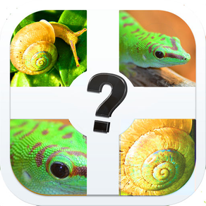 Zoomed Pic Quiz - Guess All The Animals In This Brand New Photo Trivia Game