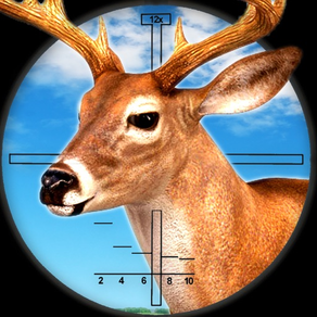 Big Buck Sniper: Deer Hunting Simulator