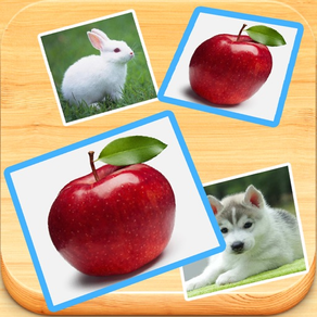 Find Double - Matching pair game with cute photos