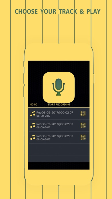 Voice Recorder & Changer poster