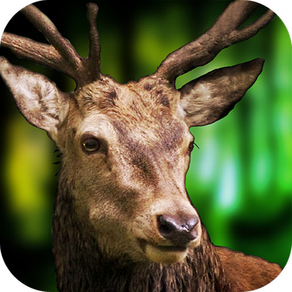 Deer Sniper | 3D Hunting Games