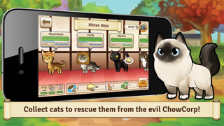 Bread Kittens Cartaz