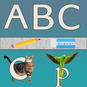 Alphabets Learning