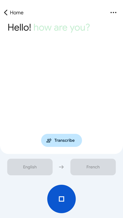 Google Translate poster