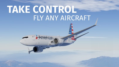 Infinite Flight Simulator poster