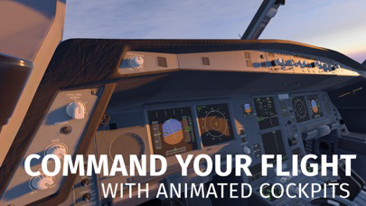 Infinite Flight Simulator poster