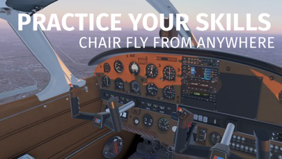 Infinite Flight Simulator poster