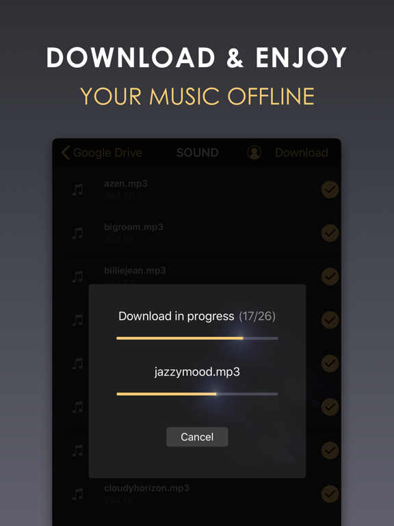 Equalizer+ HD music player poster