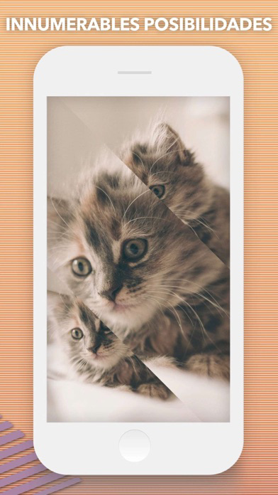 Split Pic Art Collage de Fotos الملصق