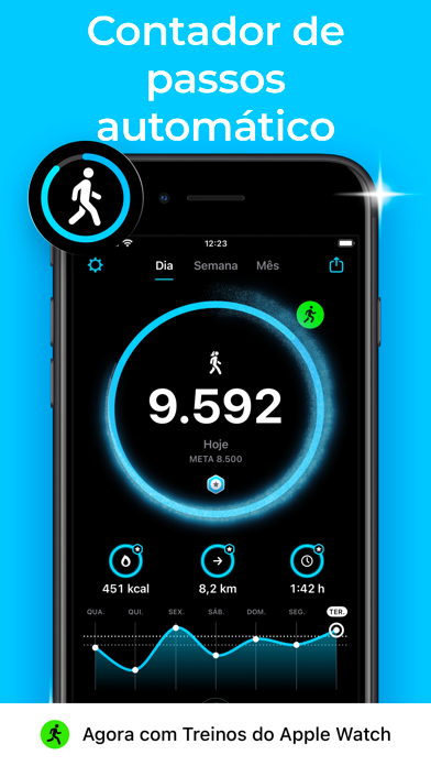 StepsApp Pedometer poster