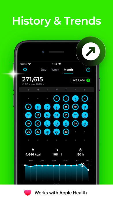 StepsApp Pedometer poster