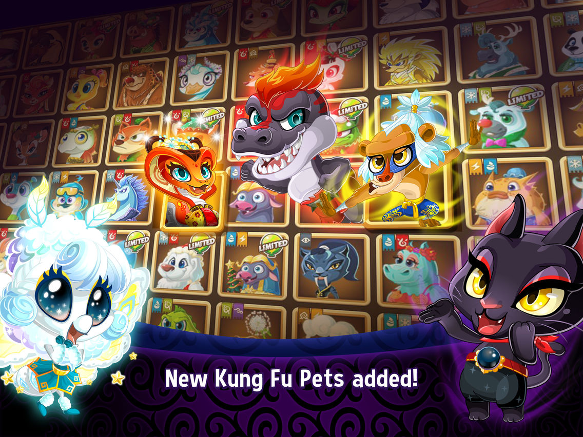 Kung Fu Pets poster