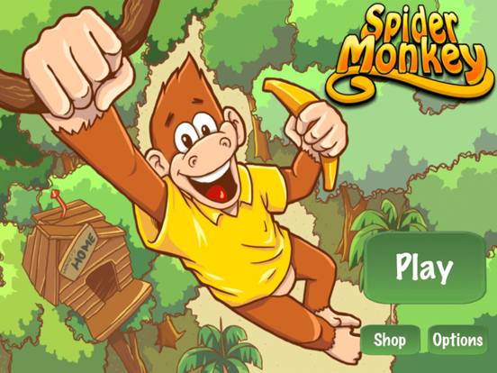 Spider Monkey: Slide and Jump! poster