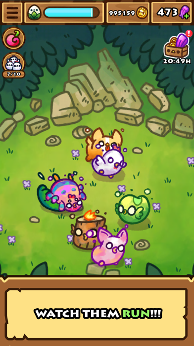 Chichens poster