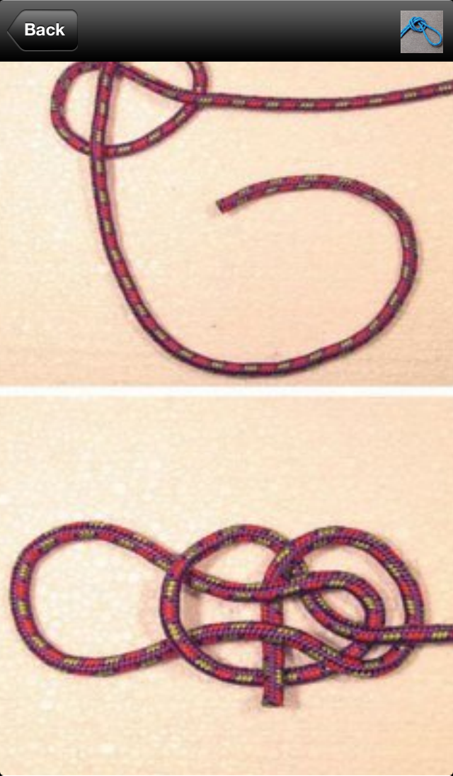 Knots Guide poster