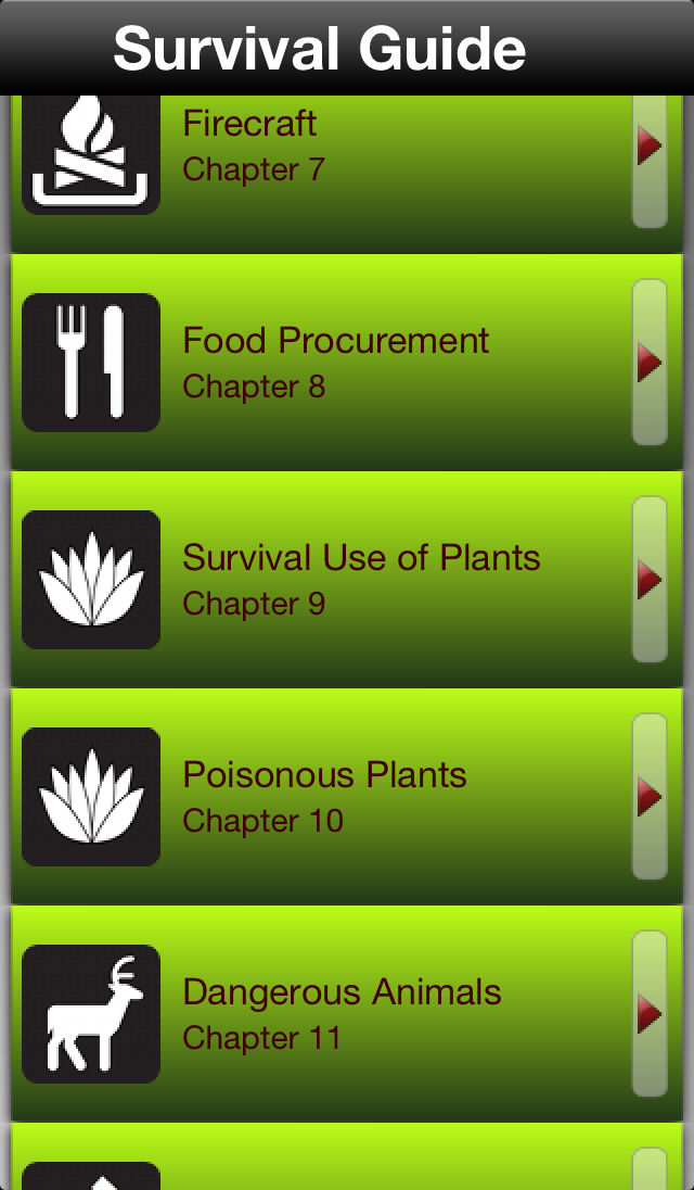 Survival Guide poster