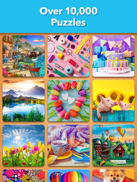 Jigsaw Puzzle Pro poster