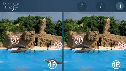 diferencia hallazgo rey الملصق