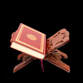 QDu’aas – Memorize Qur’anic Du’aas